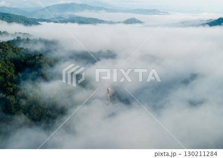 Morning mist in the forest and mountains 130211284