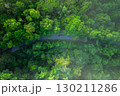 Roads and trees, high angle view of travel and transportation with the environment 130211286
