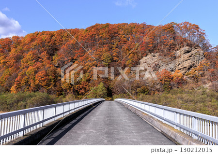 北海道平取町、沙流川に架かる二風谷ダム管理橋からの眺め【10月】 130212015
