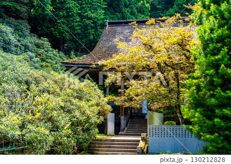 世界遺産 紀伊山地の霊場と参詣道】真夏の金剛三昧院　本堂　和歌山県伊都郡高野町 130212828