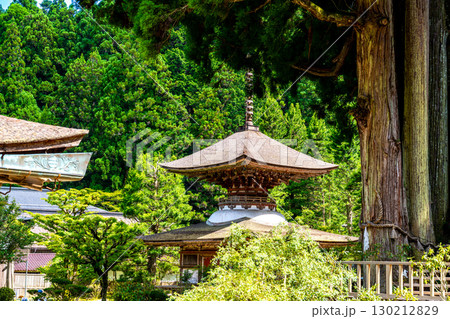 世界遺産 紀伊山地の霊場と参詣道】真夏の金剛三昧院　国宝・多宝塔のある風景2　和歌山県伊都郡高野町 130212829