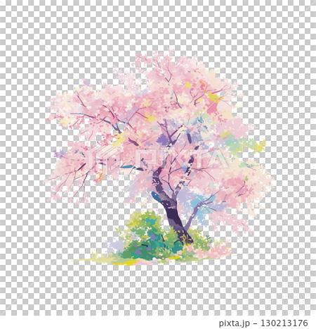 櫻花樹插畫2 櫻花樹插畫2 130213176