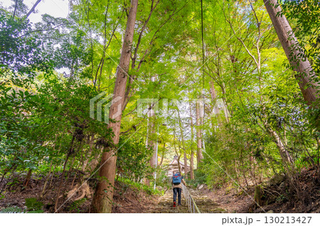 岐阜県美濃市　秋の大矢田神社の参道の石段を登る参拝者 130213427