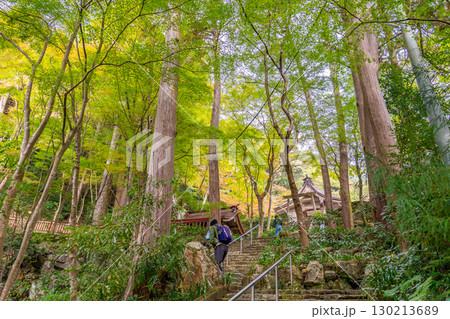 岐阜県美濃市　秋の大矢田神社の本殿への参道の石段を登る参拝者 130213689