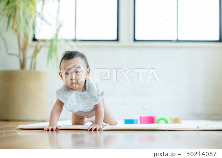 積み木で遊ぶ赤ちゃん 130214087