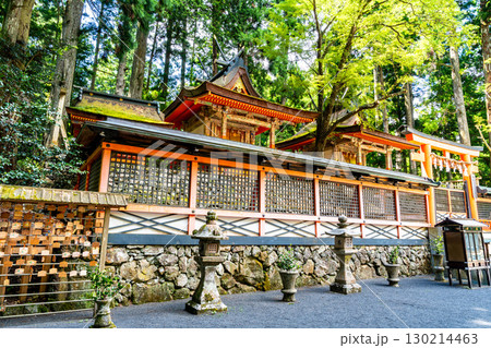 【世界遺産 紀伊山地の霊場と参詣道】真夏の高野山壇上伽藍 御社2 和歌山県伊都郡高野町 【世界遺産 紀伊山地の霊場と参詣道】真夏の高野山壇上伽藍 御社2 和歌山県伊都郡高野町 130214463
