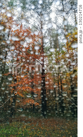 Raindrops blurring colorful autumn forest seen through car window 130214716