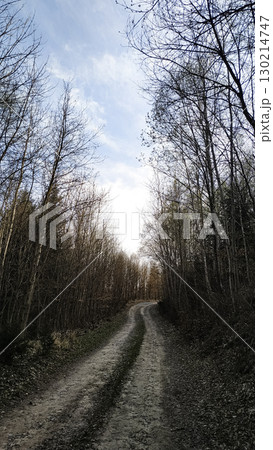 Winding dirt road leading through a forest in tupadly, czech republic. In april Winding dirt road leading through a forest in tupadly, czech republic. In april 130214747