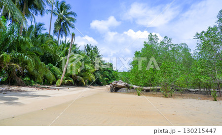 Tropical Beach Landscape with Palm and Mangrove Trees 130215447