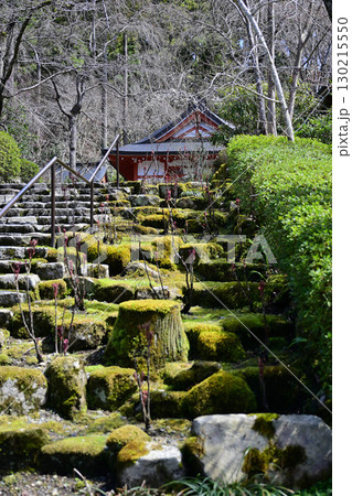京都大原三千院 130215550