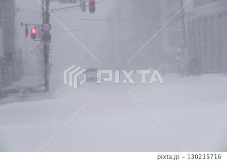 ホワイトアウト 130215716