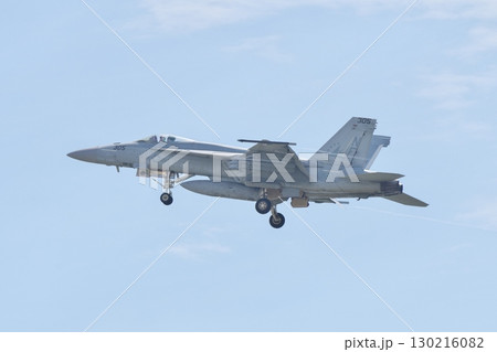 デモフライトを行うアメリカ海軍のF/A-18E スーパーホーネット VFA-115 イーグルス デモフライトを行うアメリカ海軍のF/A-18E スーパーホーネット VFA-115 イーグルス 130216082