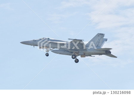 デモフライトを行うアメリカ海軍のF/A-18E　スーパーホーネット　VFA-115 イーグルス　 130216098