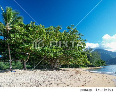 カウアイ島プウポアビーチ カウアイ島プウポアビーチ 130216194