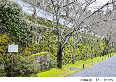 京都大原三千院 京都大原三千院 130216269