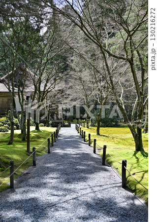京都大原三千院 130216272