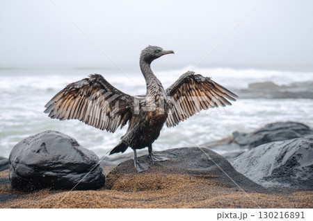 Cormorant struggles to lift its wings on a polluted shoreline amid a foggy day Cormorant struggles to lift its wings on a polluted shoreline amid a foggy day 130216891
