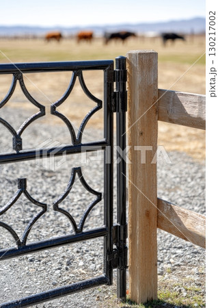 Wrought iron gate enhances sunlit pasture with grazing cattle in serene countryside setting Wrought iron gate enhances sunlit pasture with grazing cattle in serene countryside setting 130217002