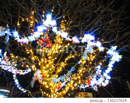 かわぐち光のファンタジー2024の風景 130217029