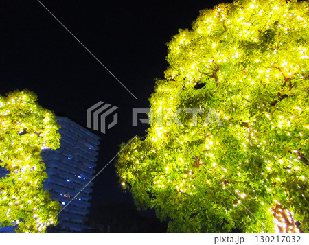 かわぐち光のファンタジー2024の風景 130217032