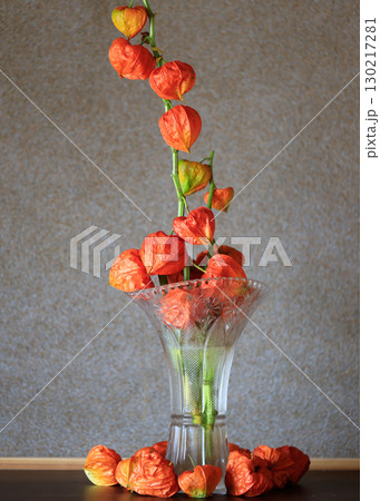 花瓶に生けられた鬼灯 130217281
