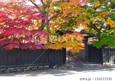 秋　角館武家屋敷通り 130217292