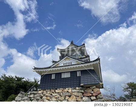 続日本100名城に選ばれた浜松城 130219087