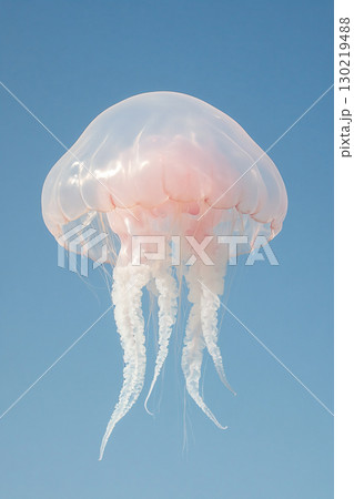 Jellyfish on blue background. spectacular jellyfish. AI Generated. 130219488