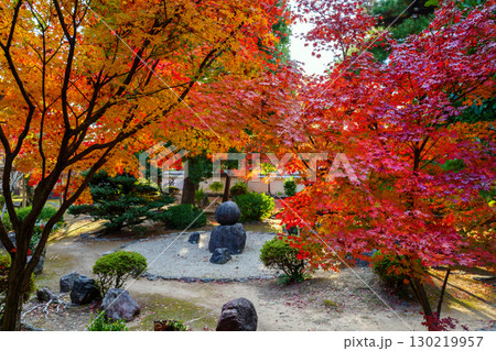紅葉のある風景 萬福寺 紅葉のある風景 萬福寺 130219957