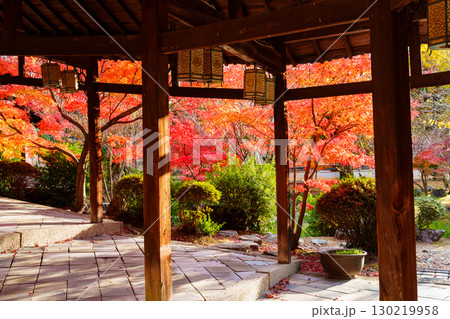 萬福寺の紅葉、回廊と紅葉 萬福寺の紅葉、回廊と紅葉 130219958