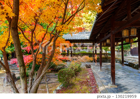 萬福寺、回廊と紅葉 萬福寺、回廊と紅葉 130219959