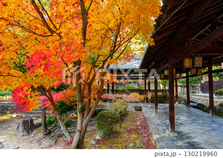 萬福寺、回廊と紅葉 130219960