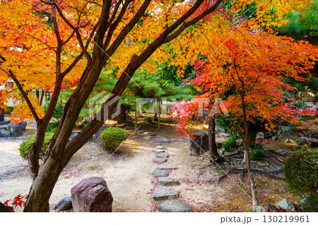 紅葉のある風景 萬福寺 紅葉のある風景 萬福寺 130219961