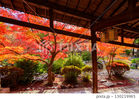 萬福寺、回廊と紅葉 130219965