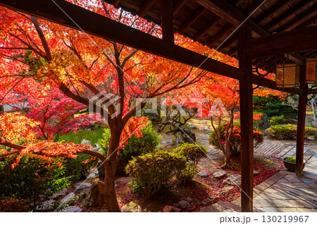 萬福寺、回廊と紅葉 130219967