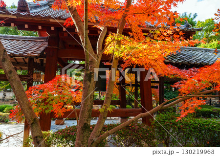萬福寺、回廊と紅葉 130219968
