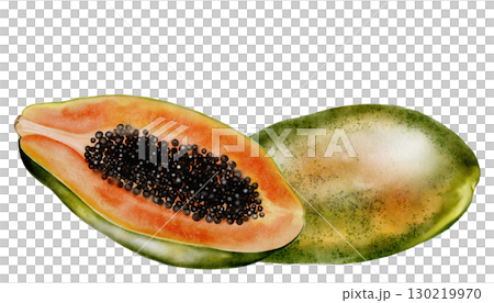 Papaya watercolor. Hand drawn ripe tropical fruit on white background. Ideal for logo, cosmetics and product packaging 130219970