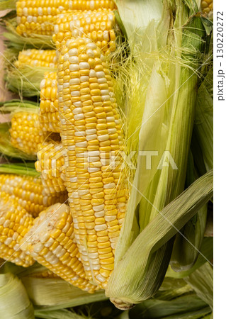 Macro shot of fresh raw corn cobs with green leaves. 130220272