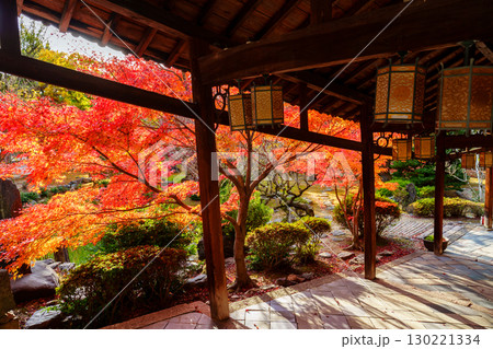 萬福寺、回廊と紅葉 萬福寺、回廊と紅葉 130221334