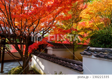萬福寺、回廊と紅葉 萬福寺、回廊と紅葉 130221335