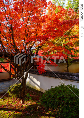 萬福寺、回廊と紅葉 130221336