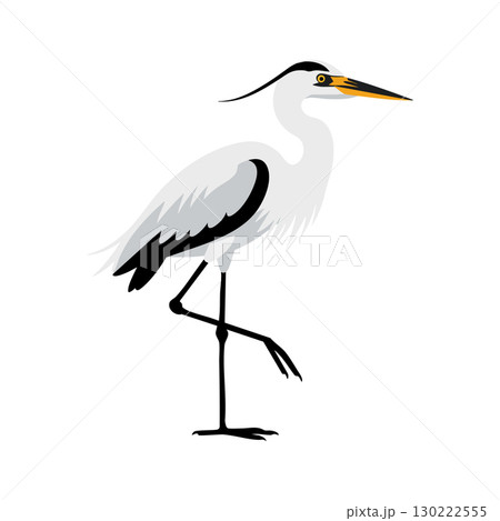 White Heron Bird Standing on One Leg Vector Illustration with Black and Orange Details 130222555