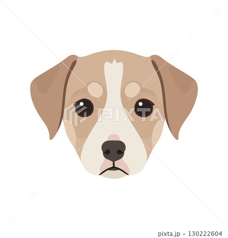 Dog face vector illustration with brown and beige colors simple design vector, illustration 130222604