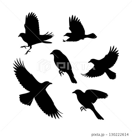 Silhouettes of flying and perching birds in various poses vector illustration Silhouettes of flying and perching birds in various poses vector illustration 130222614