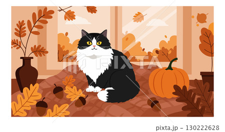 Black and white cat sitting in autumn room with pumpkin and fall leaves vector illustration 130222628