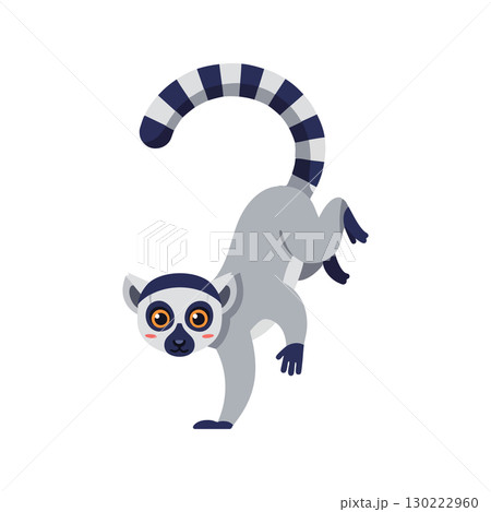 Ring Tailed Lemur Climbing with Curved Tail and Big Orange Eyes Vector Illustration Ring Tailed Lemur Climbing with Curved Tail and Big Orange Eyes Vector Illustration 130222960