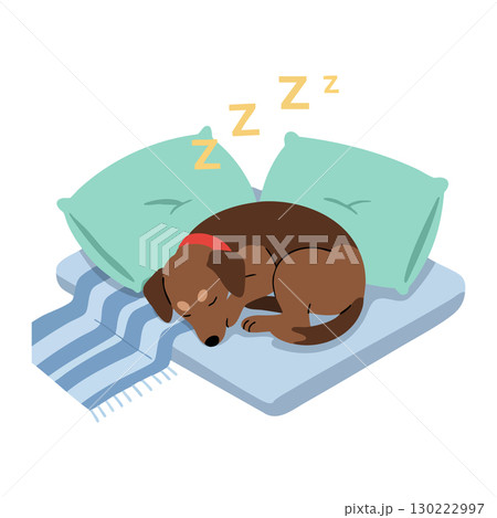 Sleeping brown dog curled up on striped blanket with green pillows peaceful rest vector illustration 130222997