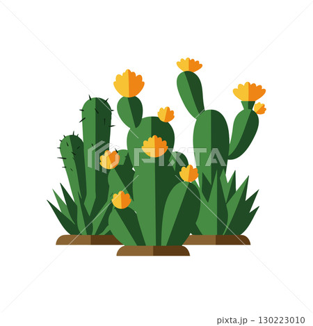 Green cactus plants with yellow flowers vector illustration in flat style for desert garden design 130223010