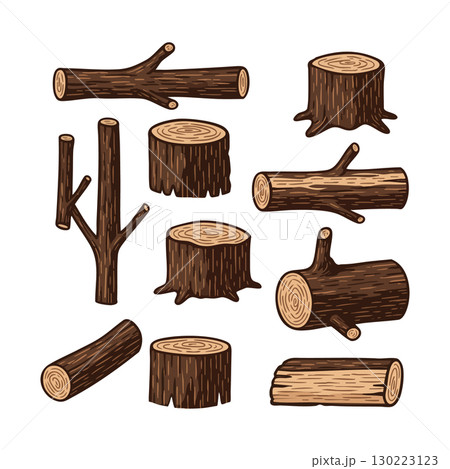 Different types of tree branches and wooden logs vector illustration natural wood textures 130223123