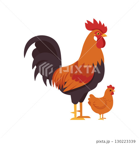 Rooster and Hen Vector Illustration with Orange and Black Feathers in Flat Design Rooster and Hen Vector Illustration with Orange and Black Feathers in Flat Design 130223339